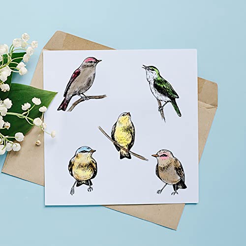 Heureppy Birds Cutting Dies and Clear Stamps Animals Clear Stamps with Die Cuts for Card Making, Thankful Words Animal Embossing Stencil Template Tool for DIY Scrapbooking Photo Album Card Craft Decoration - Image 4