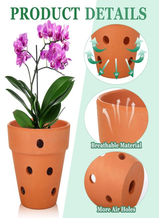 FoldTier 12 Pcs 4 Inch Terracotta Orchid Pot with Drainage Holes Small Clay Plant Flower Terracotta Pots Orchid Planter for Repotting Indoor Outdoor Garden Succulents Plant Promotes Air Circulation - Image 3