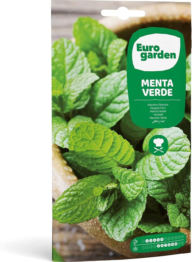 فيتو سيميلاس فيتو النعناع الأخضر - فيردي - Image 1