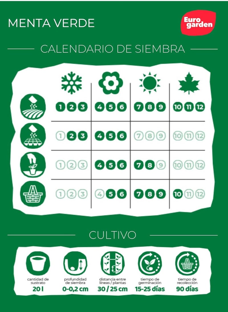 فيتو سيميلاس فيتو النعناع الأخضر - فيردي - Image 3