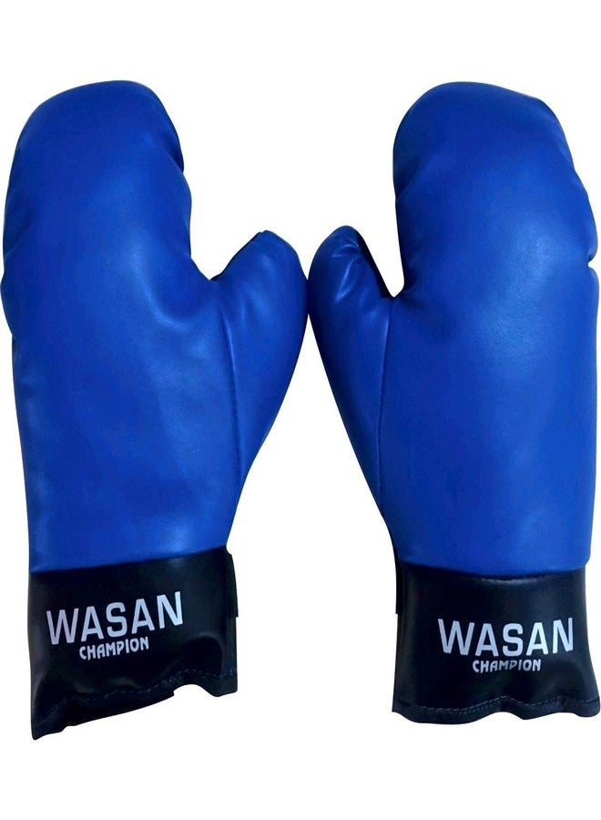 Wasan Boxing Kit/Set for Kids 4 to 8 Years (Blue) - Image 3