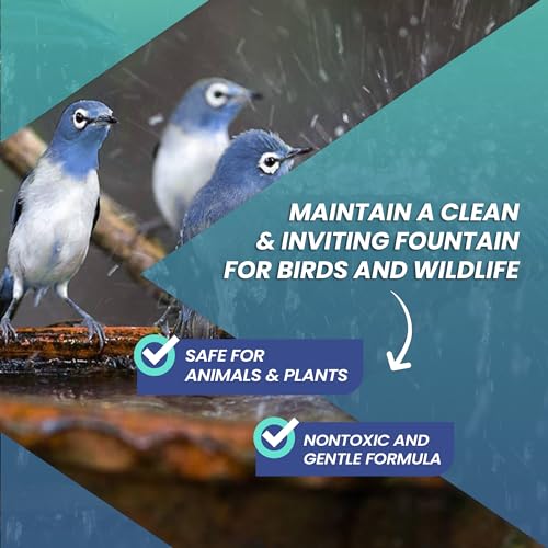 Not Rocket Sciences 16oz Water Fountain Cleaner - Cleans 80 Gallons of Water, Bird Bath Cleaner Safe for Birds and Wildlife, Ideal for Indoor & Outdoor Use - Prevents Dirt Build-Up and Clog, Safe for Stone, Metal & More - Image 5