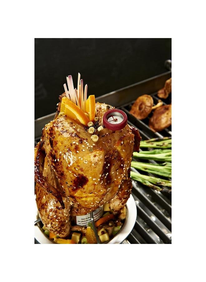 Stainless Steel Ergonomic BBQ Chicken Roaster with Thermometer Silver - pzsku/Z4BC8F468F9FD953F540EZ/45/_/1735972433/602bccb5-a410-4280-be74-b60326b27b01