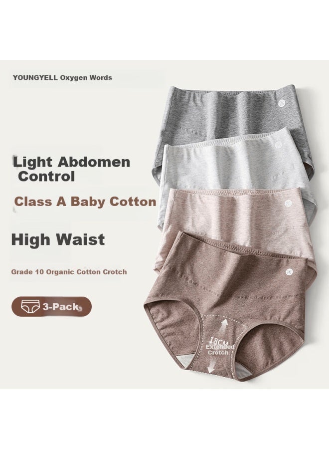 Youngyell Women's High-waist Plus Size Antibacterial Cotton Crotch Underwear For Elderly And Moms, 3-pack - Image 1