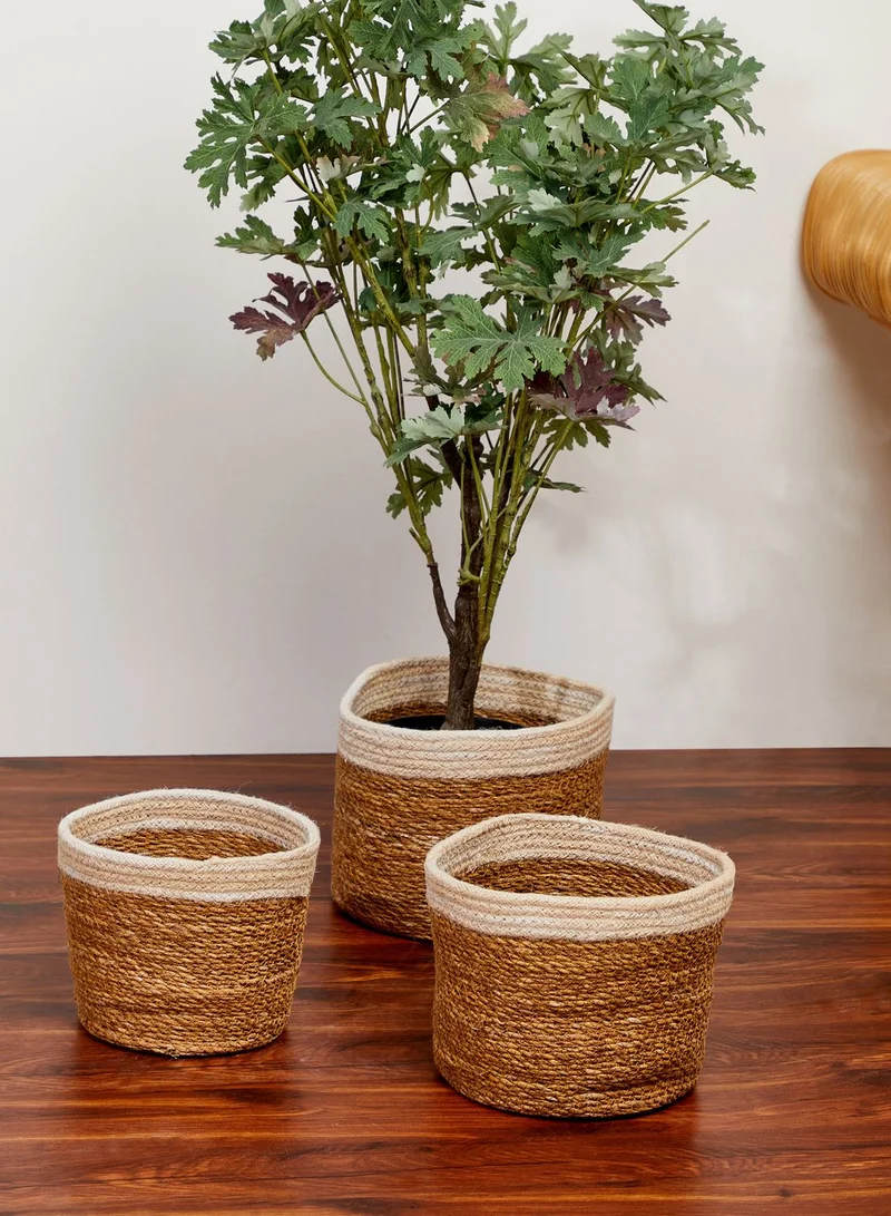Premier Set Of 3 Round Natural Seagrass Baskets