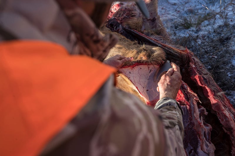 Gerber سكين جيربر جير داونويند - سكين أولو مع غلاف لمعدات الصيد - أسود - Image 5