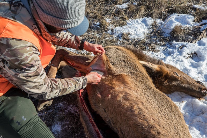 Gerber سكين جيربر جير داونويند - سكين أولو مع غلاف لمعدات الصيد - أسود - Image 4