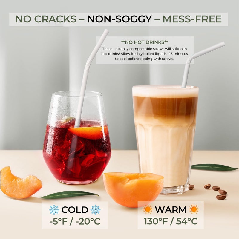 EcoPreps Flexible Biodegradable Bamboo Fiber Straws, 120 Count | 100% Compostable, Plastic-Free, Eco-Friendly Drinking Straws for Cold Drinks | 7.8'' Bendable, Disposable Bamboo Fiber Straw (120 PCS) - Image 4