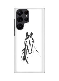 Arabian Stallion