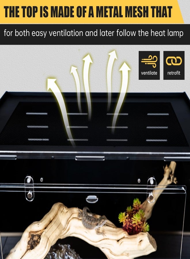 maiyuolg Reptile Tank Reptile Enclosure 12"x12"x18" Reptile Terrarium Lizard Tank Jumping Spider Enclosure - Acrylic Habitat with Ventilation for Lizards, Snakes & Spiders - Image 3