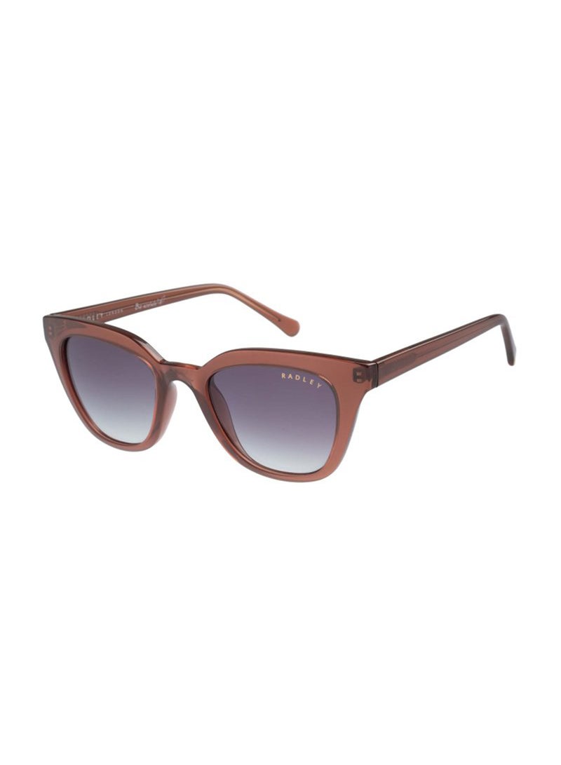 Radley نظارات شمسية نسائية صغيرة على شكل عين القط RDS-6527 بني 50 مم - Image 1