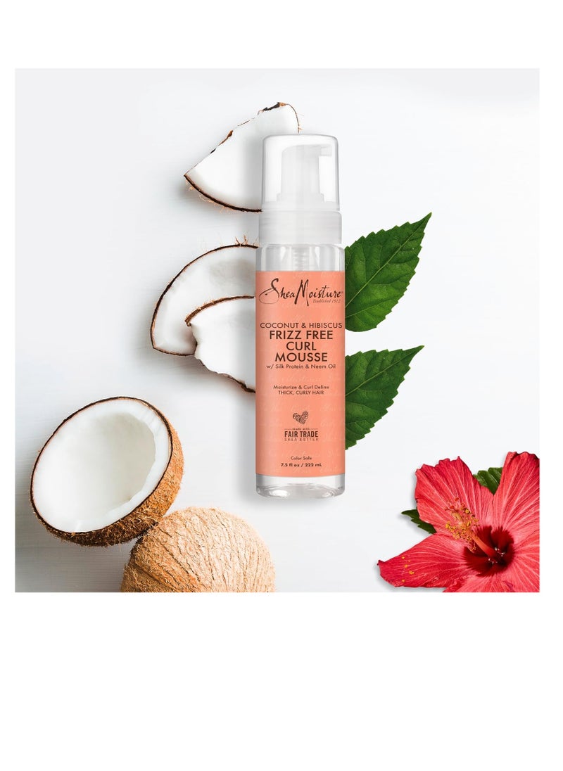 SheaMoister - Foam for wavy hair without frizz with coconut and hibiscus from Shea Moisture 220 ml - Image 1