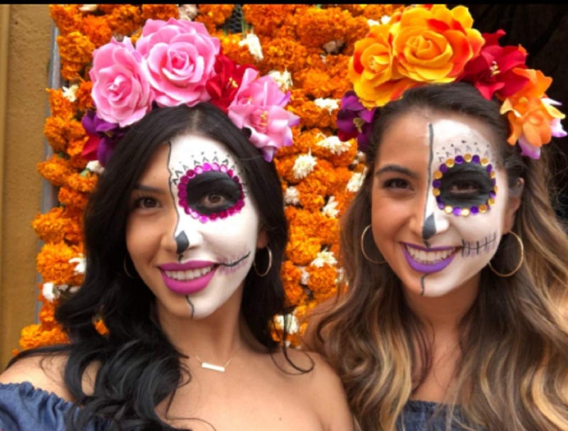 DreamLily Day of the Dead Headband Costume Rose Flower Crown Halloween Headpiece BC40 (Mexican Festival Crown Pink) - Image 3