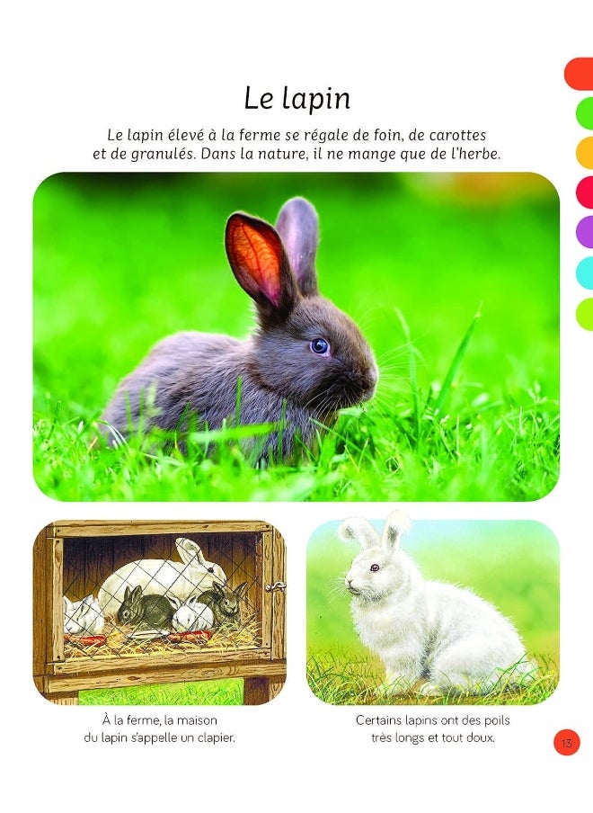 L'imagerie - Les animaux - pzsku/Z4BD34F548F730D2CC422Z/45/_/1739453063/713e15da-254f-4bde-9801-76d794eaaa41