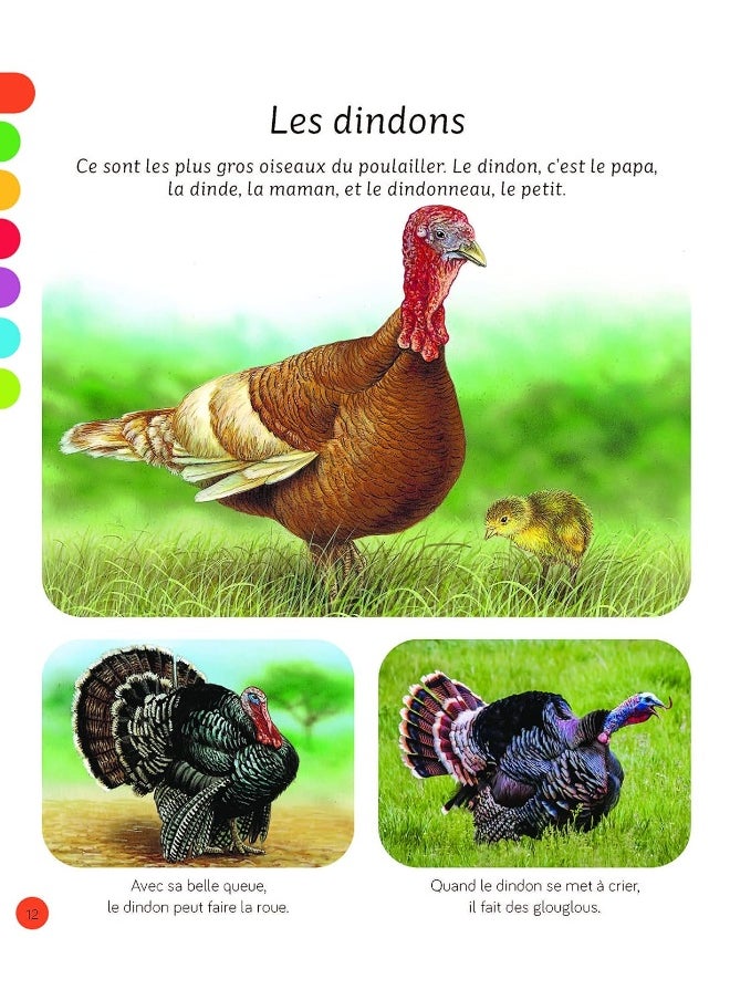 L'imagerie - Les animaux - pzsku/Z4BD34F548F730D2CC422Z/45/_/1739453064/2e2267a3-3a37-45a8-ab51-d04fb0fe8b52