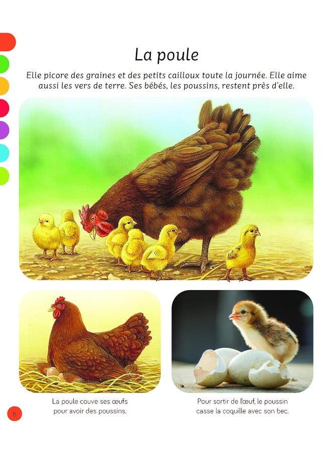 L'imagerie - Les animaux - pzsku/Z4BD34F548F730D2CC422Z/45/_/1739453146/d38446bd-594f-4b8d-8dd5-84180d5b45ba