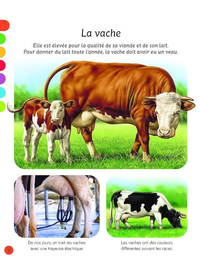 L'imagerie - Les animaux - pzsku/Z4BD34F548F730D2CC422Z/45/_/1739453150/e0ffd8c1-f7d9-4696-b03f-9dd0d003ad76