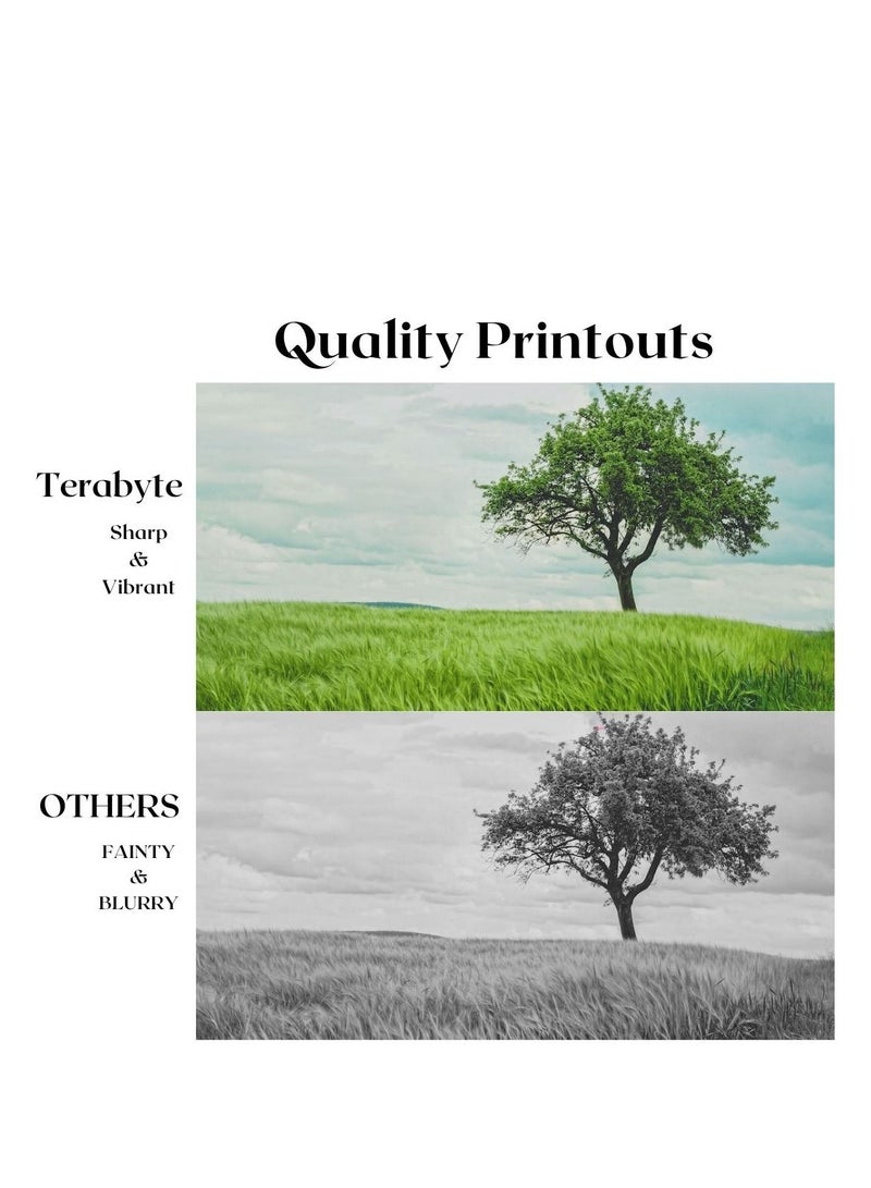 Terabyte TONER CARTRIDGE TN351/TN326/TN329/TN359 BLACK - Image 4