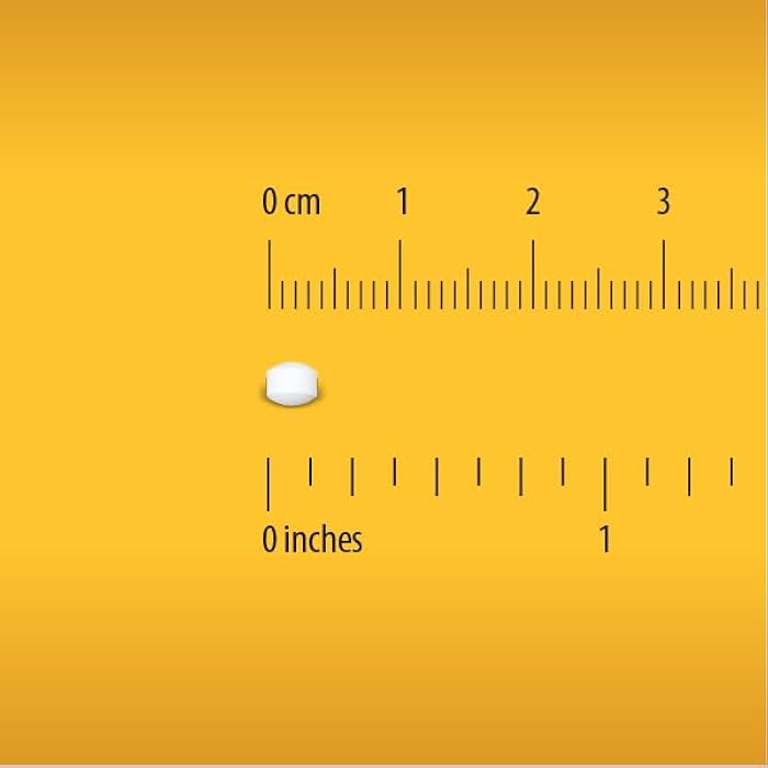 Globe Electrolyte Replacement Tablets for Rapid Hydration & Exercise Recovery (500 Tablets, 250 Packets of 2) for Athletes, Hiking & Sports, Travel Packets with Key Nutrients for Optimal Endurance - Image 4