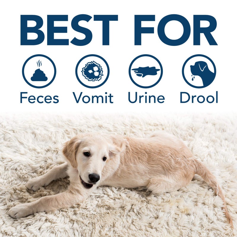 Simple Solution Stain and Odor Eliminator Spray for Dogs & Cats, Enzyme Cleaner With 2X Pro-Bacteria Cleaning Power, Strong Smell Remover for Carpets, Upholstery & Floors, Floral Fresh Scent, 32 oz - Image 4
