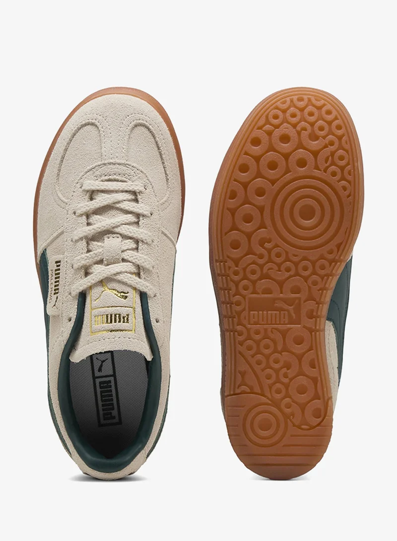 بوما باليرمو إيليفاتا