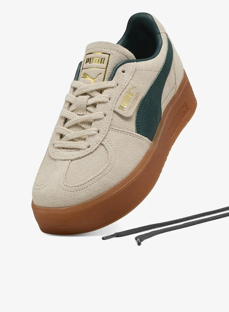 بوما باليرمو إيليفاتا