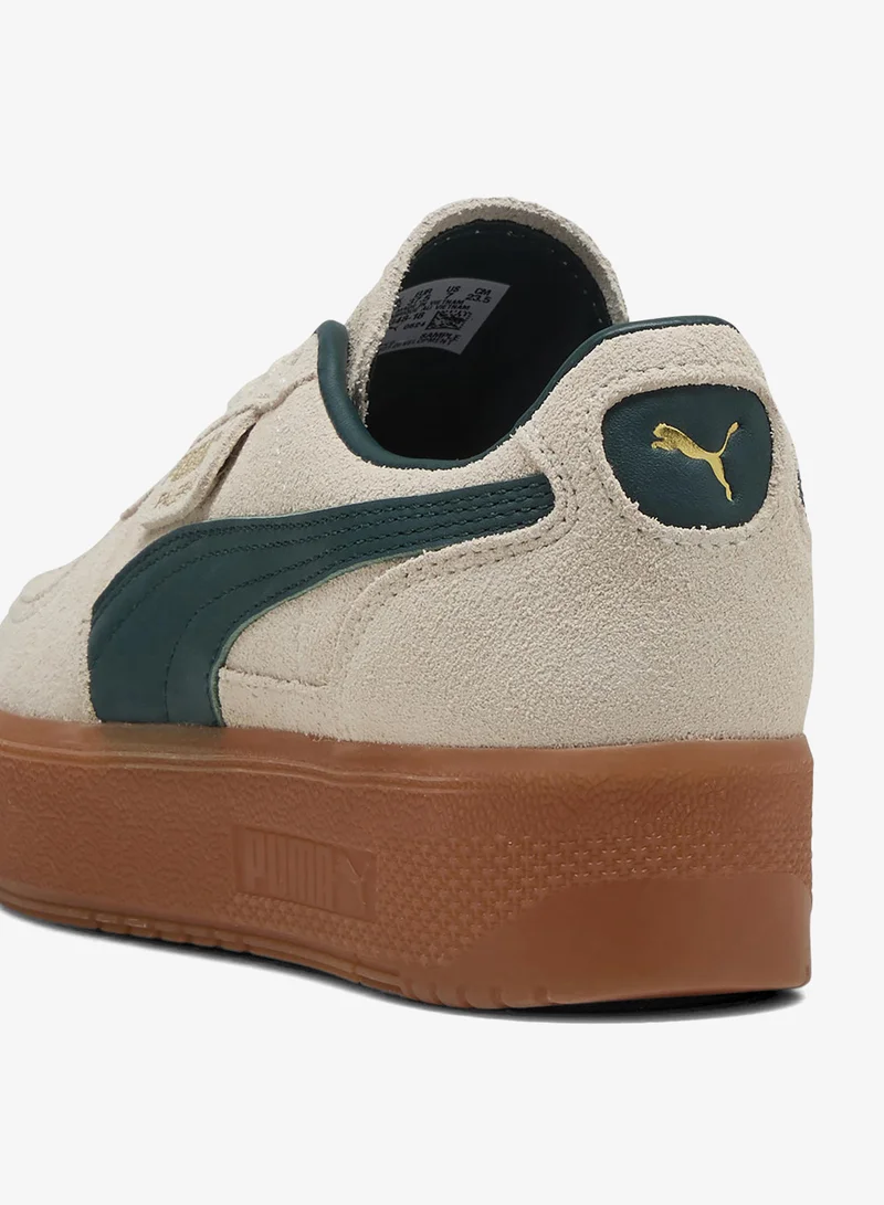 بوما باليرمو إيليفاتا