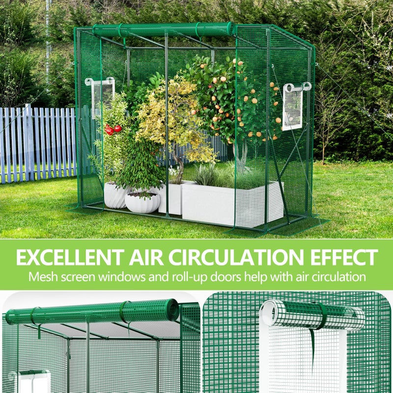 SPECILITE Heavy Duty Lean to Greenhouse for Outside, Portable Walk-in Green House with Thicken PE Cover, Roll-Up Zippered Door & 2 Ventilation Mesh Windows, Large Plastic Greenhouses for Outdoors - Image 4