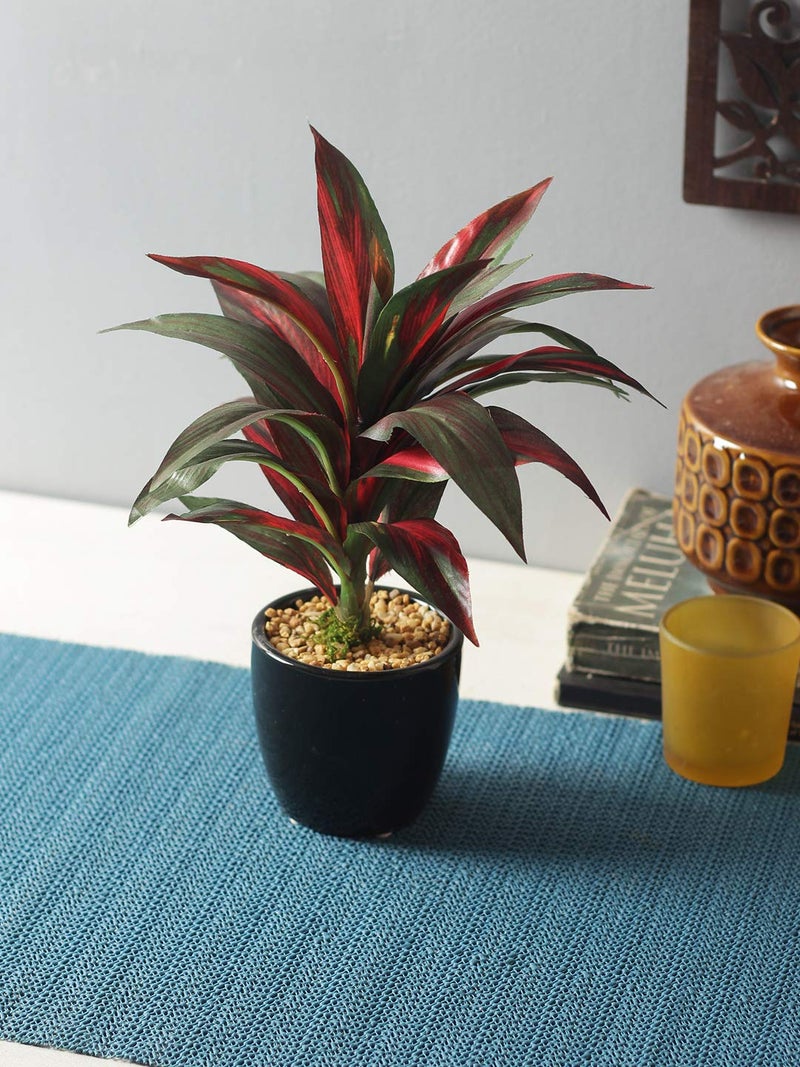 Fourwalls Artificial Natural Looking Dracaena Bonsai Plant in A Ceramic Vase for Home Office Decor 24 cm Tall 25 Leaves Multicolor