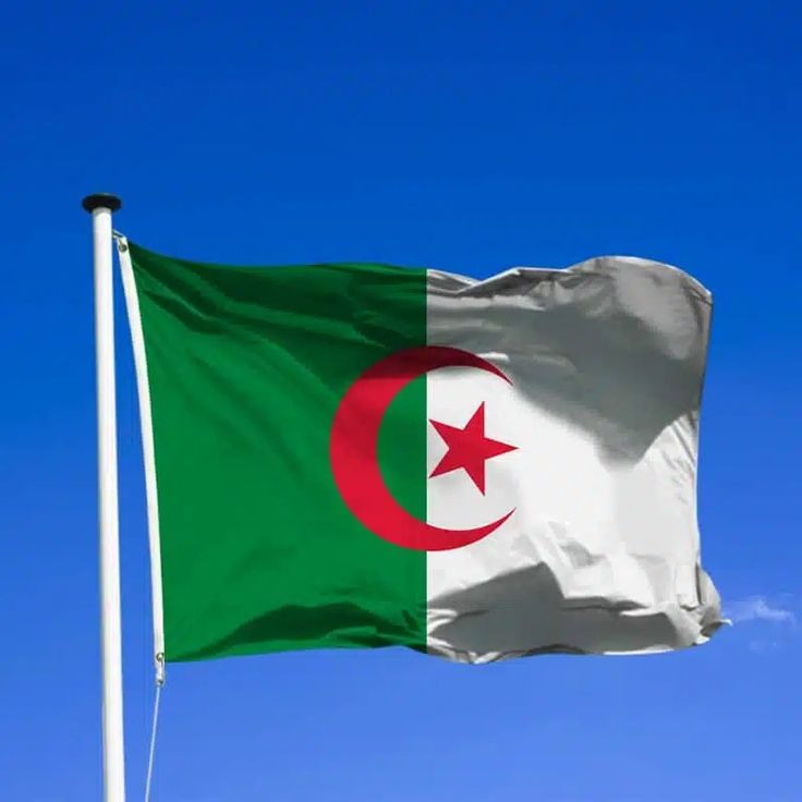 ARS Algeria Flag - Heavy-Duty 210D Satin, Algeria Flag for Outdoor/Indoor, Fade Resistant, Flag Day, And Home-Polyester, National Day Sport Day, FIFA World Cup, Indoor & Outdoor Use-Size Available - Image 2
