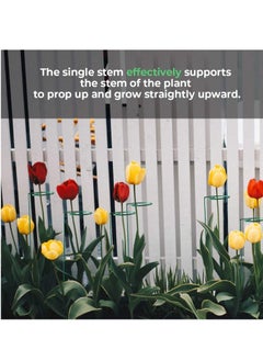 SYOSI Plant Support Stakes, 12 Pcs Single Stem Stake with 40 Clips Garden Flowers Amaryllis Stakes Flower for Flowers, Orchid, Peony, Lily, Rose  - Image 5