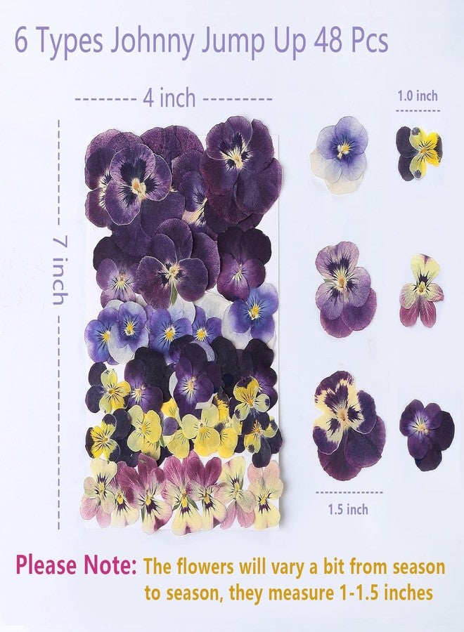 AHTONG 48 Pcs Mix Natural Dried Pressed Flowers for Cake Decorating, Real Dry Flower for Resin Jewelry Making, DIY Art Crafts - Johnny Jump Up - Image 5