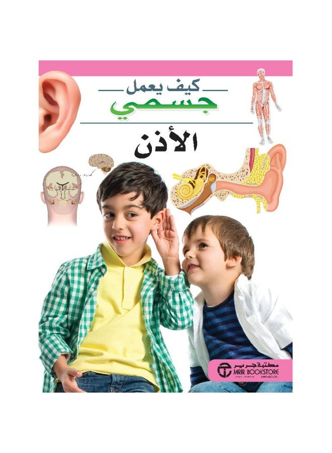 How my body works: the ear - Image 1