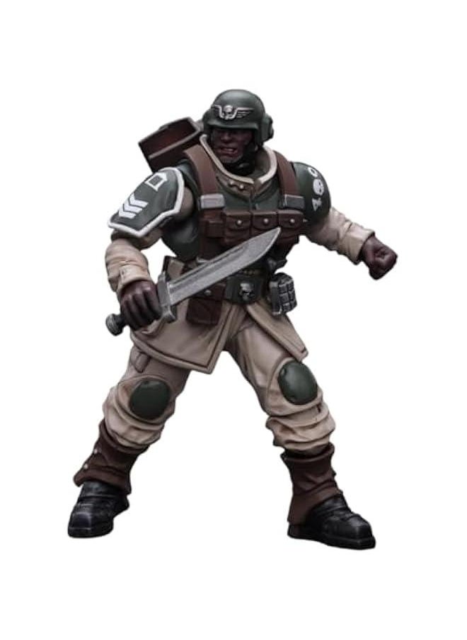 JoyToy Warhammer 40K Collectible Figure: Astra Militarum Cadian Command Squad Veteran with Regimental Standard 1:18 Scale Action Figures JT7929 (Veteran with Regimental Standard)