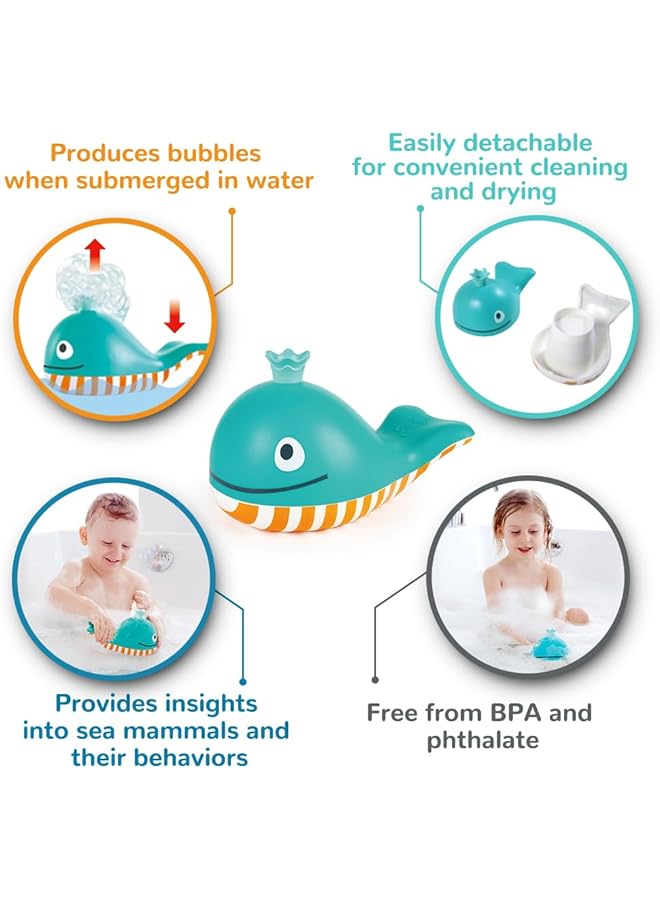 إيروريكس حوت ينفخ الفقاعات - Image 3