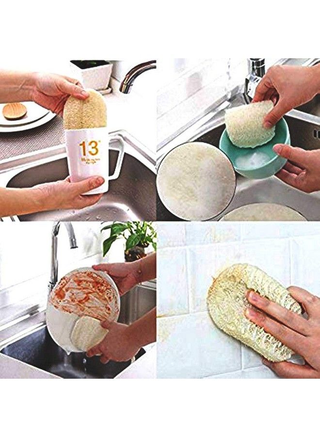 jeoga Loofah Pack Of 5 Pcs Natural Cleaning Scrubber Vegetable Ridge Guard Fiber Absorbent Sponge Cleaning Pad - Image 4