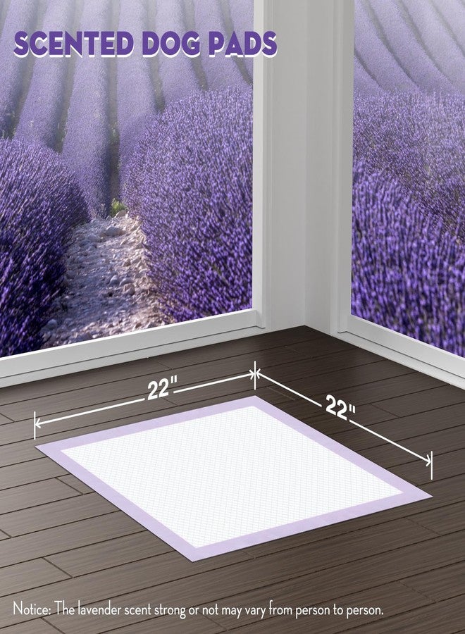 Croci فوط تدريب الجراء من كروتشي، مقاس 22 × 22 بوصة، صغيرة الحجم مع أشرطة لاصقة، فوط تدريب الكلاب على التبول، تمتص حتى 3 أكواب، للاستخدام مرة واحدة (50 قطعة). - Image 2