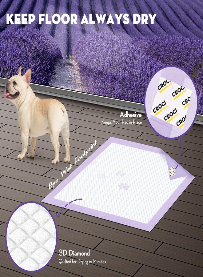 Croci فوط تدريب الجراء من كروتشي، مقاس 22 × 22 بوصة، صغيرة الحجم مع أشرطة لاصقة، فوط تدريب الكلاب على التبول، تمتص حتى 3 أكواب، للاستخدام مرة واحدة (50 قطعة). - Image 5