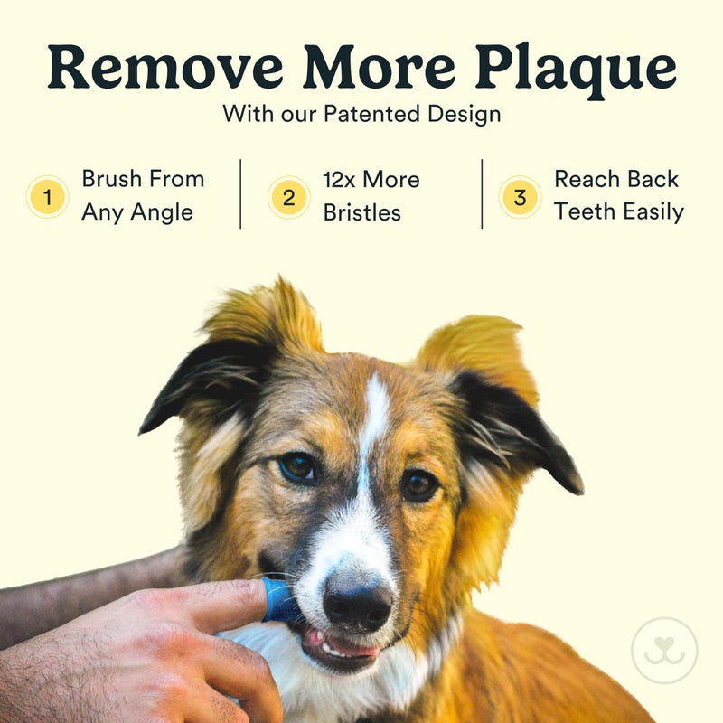 Jasper Dog Toothbrush, 360 Degree Dog Tooth Brushing Kit, Cat Toothbrush, Canine Dental Care & Teeth Cleaning Kit, Pet Finger Tooth Brush, Use with Pet Toothpaste, 2-Pack Clear - Image 2