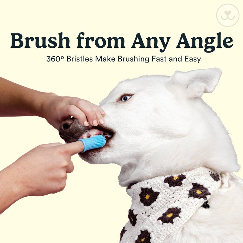 Jasper Dog Toothbrush, 360 Degree Dog Tooth Brushing Kit, Cat Toothbrush, Canine Dental Care & Teeth Cleaning Kit, Pet Finger Tooth Brush, Use with Pet Toothpaste, 2-Pack Clear - Image 4