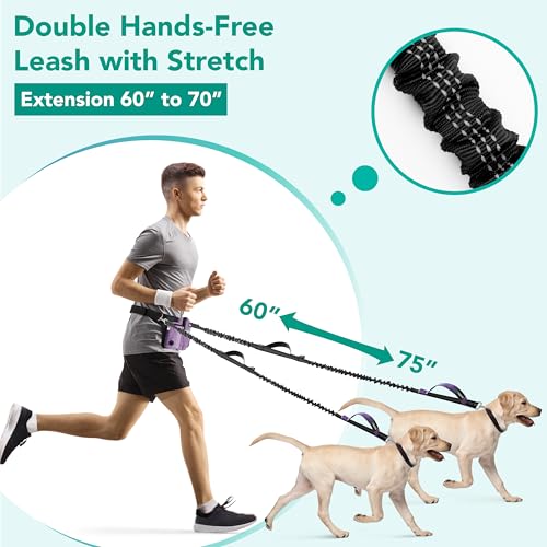 PetAmi Premium Hands Free Dog Leash for 2 Dogs Adjustable Waist Belt Leash for Dog Walking Fanny Pack Accessories Bag Dual Bungee Leash for Running Hiking Jogging Biking Purple - Image 3