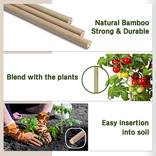 BOVITRO Plant Stakes,18 Inches Natural Garden Bamboo Sticks,BOVITRO 20Pcs Plant Support Stakes for Tomatoes,Beans,Vegetable and Potted Plants - Image 2