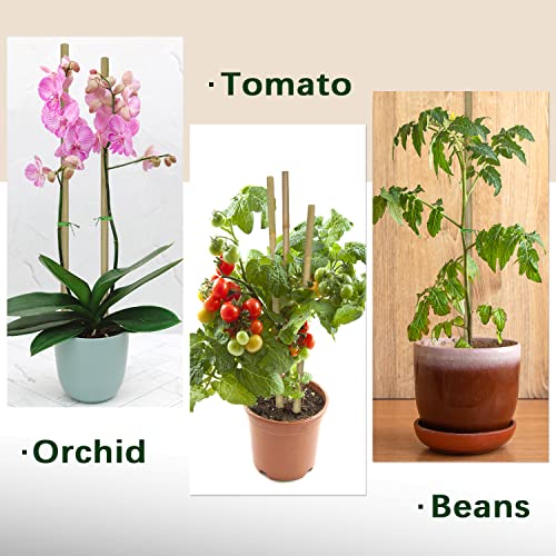 BOVITRO Plant Stakes,18 Inches Natural Garden Bamboo Sticks,BOVITRO 20Pcs Plant Support Stakes for Tomatoes,Beans,Vegetable and Potted Plants - Image 3
