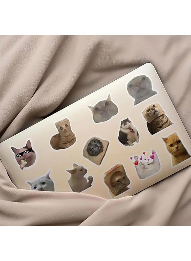 واي جيه مجموعة من 50 ملصقا للتعبير من طراز كات، وشارات PVC الزخرفية لحقائب الهاتف، والغيتار، والخوذ، ولوحات التزلج، والحواسيب المحمولة، وزجاجات الماء، وضد الماء، واللاصق - Image 2