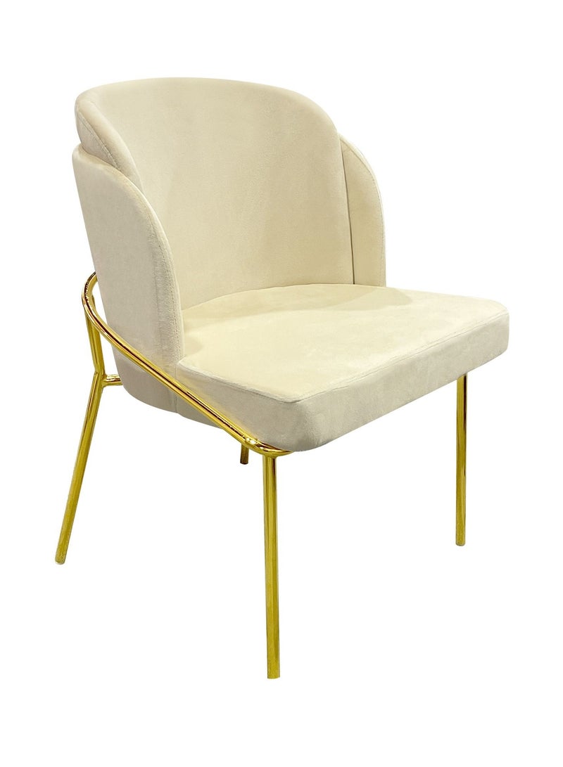 MAPLE HOME DECORATION Maple Home Dining Chairs Velvet Cushion Seat Chair, Stainless Steel Golden Legs Dining Room Chair  - Image 1