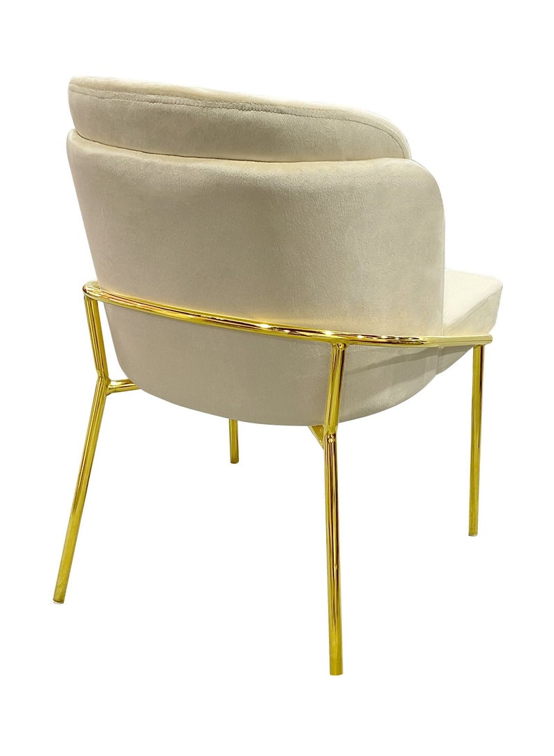 MAPLE HOME DECORATION Maple Home Dining Chairs Velvet Cushion Seat Chair, Stainless Steel Golden Legs Dining Room Chair  - Image 3