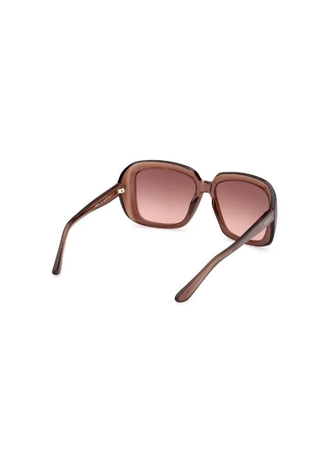 GUESS  cat_eye sunglasses for Women | Best Price UAE
