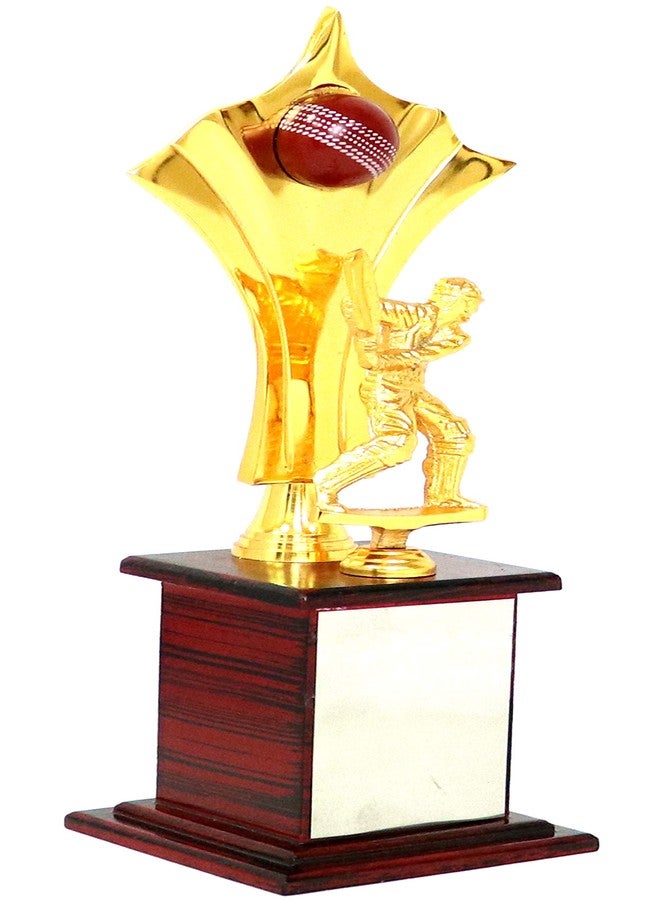 Sigaram Trophy| Sports Competition Student Academy Appreciation Employees| 40 cm Gold and Brown - Image 2