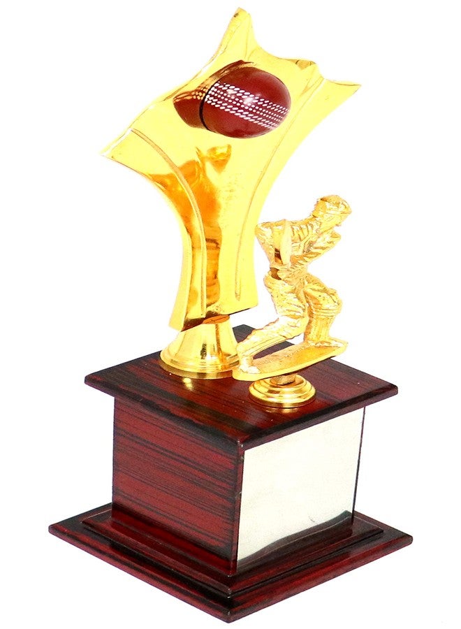 Sigaram Trophy| Sports Competition Student Academy Appreciation Employees| 40 cm Gold and Brown - Image 4