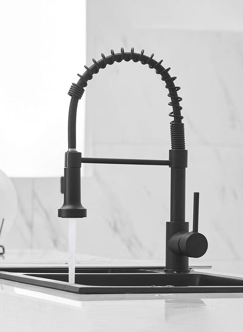 Kitchen Faucet with Pull Down Sprayer Stainless Steel Single Handle Pull Out Spring Sink Faucets - Image 1